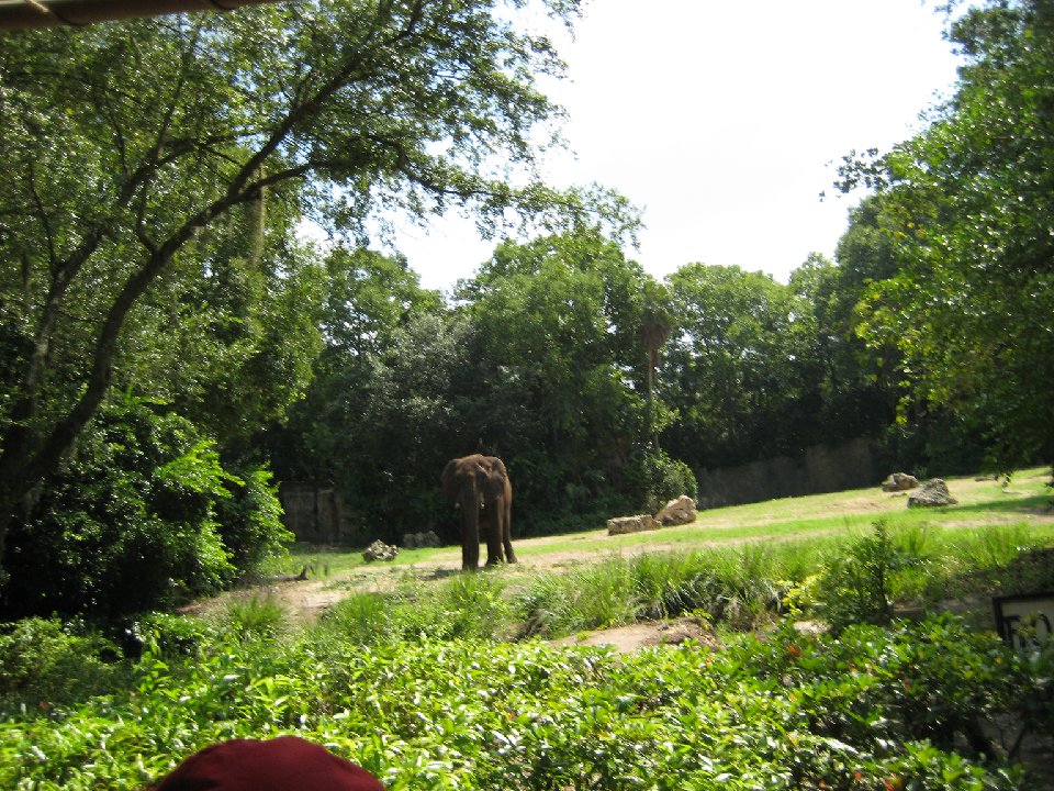 SUMMER (801)